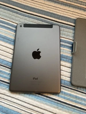 Celular iPad Mini A1490 Wi-Fi plus Foto 1 de 4