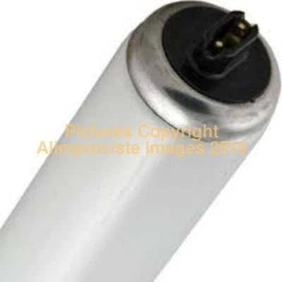 F48T12/WW/HO LIGHT BULB! NeW! MINT! RaRe! 60W FLUORESCENT 48" HIGH OUTPUT TUBE - Image 1 of 4