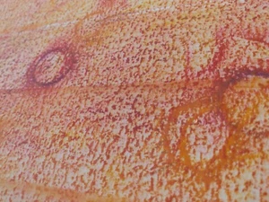 "Dorado por monedas, besado por el sol": una meditación radiante de Matthew Natale - Imagen 1 de 2