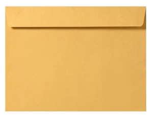 Cashier Depot 9" x 12" Booklet Envelopes, Premium 28lb Kraft, Gum Flap, 150/Box  - Picture 1 of 1