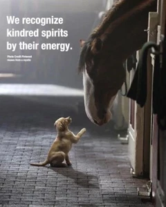 Inspirational horse and dog refrigerator magnet 3 1/2"x 4 1/2" - Picture 1 of 1
