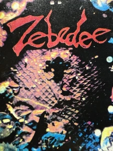1993 ZEBEDEE DEMO ROCK GRUNGE CASSETTE SYRACUSE NEW YORK UNDERGROUND RARE - Foto 1 di 6