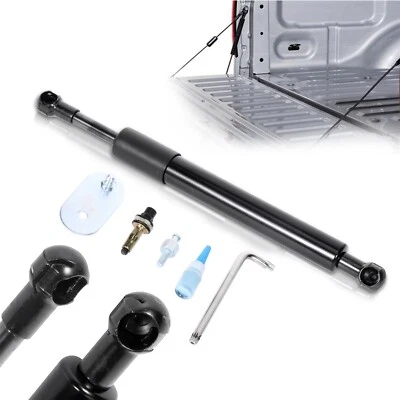 For 1999-2014 Ford F-250 F-350 Super Duty Tailgate Assist Lift Supports DZ43203 - Image 1 of 4