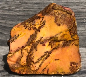 Yellow Feather Jasper Collectors Slab - Utah 3.25"x3.25" Lapidary Rough Slab - Picture 1 of 12