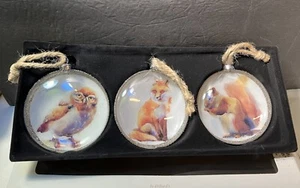Glass Ornaments Owl Fox Squirrel Christmas - Picture 1 of 8