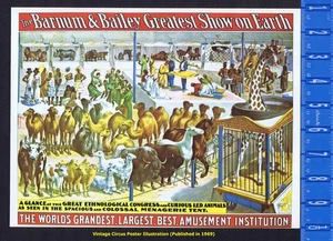 Barnum & Bailey, kolossales Tier Menagerie Zelt - Zirkus Poster Illustration - Bild 1 von 1
