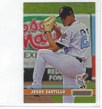 2017 Inland Empire 66ers (Class A-Los Angeles Angels) Jesus Castillo