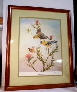 BERNARD MARTIN PRINT Signed Numbered AMERICAN GOLDFINCH Framed Matted 21" x 17" - Picture 1 of 8