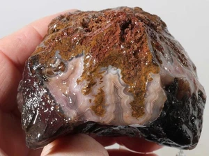 Mexico Coyamito Agate lapidary 10.6 oz. Pseudomorph rough lot #29 - Picture 1 of 15