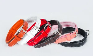 COLLARES LISOS DE CUERO PARA PERRO PEQUEÑO TOTALMENTE ACOLCHADOS CROMO EN 6 COLORES - Imagen 1 de 14