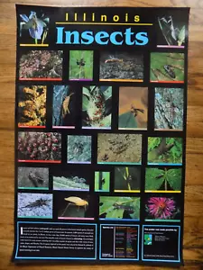 POSTER - ILLINOIS INSECTS - Foto 1 di 6