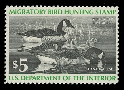 SCOTT #RW43 - $5.00 1976 DUCK STAMP - F-VF NH - Image 1 of 2