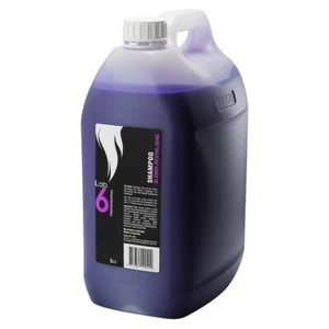 LAB6 BLONDE REVITALISING SHAMPOO 5Litre - Picture 1 of 1