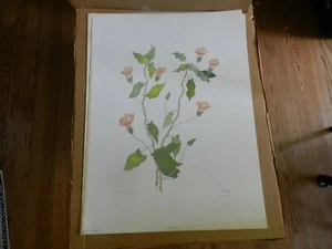 GOLDEN BINDWEED By Pat Moran 25" x 19" signed lithograph - Picture 1 of 4