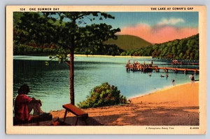 Postal One Summer Day The Lake At Cowan's Gap Pennsylvania Beauty sin publicar - Imagen 1 de 2