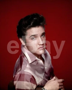 Elvis Presley 10x8 Photo - Picture 1 of 1