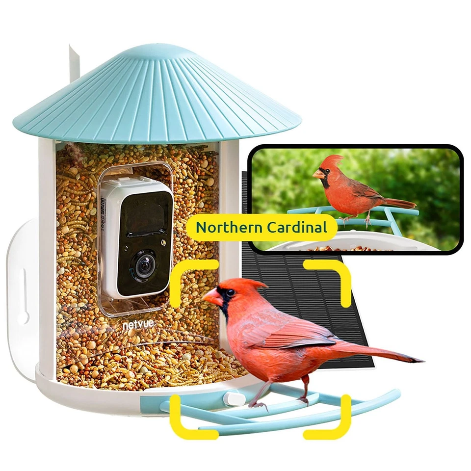 Netvue Birdfy Feeder FHD Smart Bird Watching Feeder Camera Yellow Color