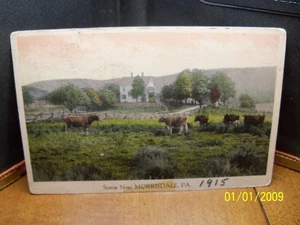 1915 Scene near Morrisdale PA Pennsylvania cows farmhouse 2 chimneys rail fence - Picture 1 of 2