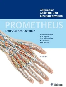 Prometheus LernAtlas Anatomie Bewegungssystem Thieme Fachbuch Medizin - Bild 1 von 2