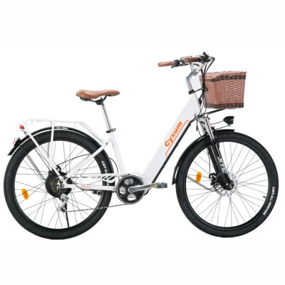 CYSUM 26" Elektrofahrrad LCD Display E-Stadtrad bike 36V/10AH 250W E-Bike