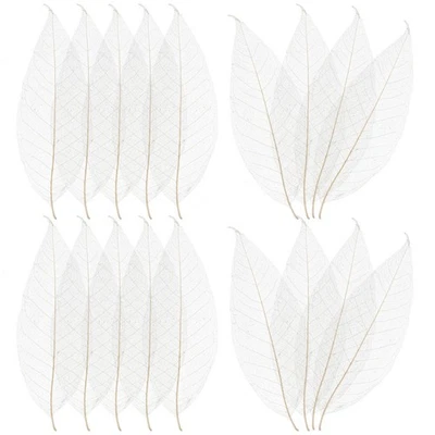  100 Pezzi Campioni Venere Fogli Abbellimento Libro Scrapbooking -Decorazione - Immagine 1 di 4