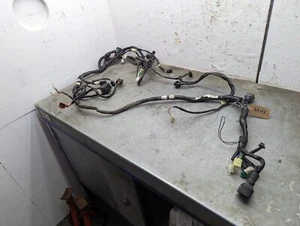 Arnés principal telar de cableado Yamaha Aerox R 4 50 2019 1 GB H2590 10 1 X193 - Imagen 1 de 5
