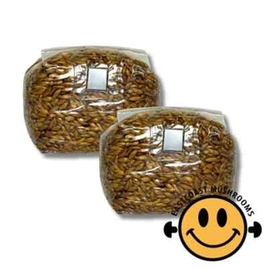 Sterilised Mushroom Grain Spawn Rye Oats | Ready to Use - Injection Port - Picture 1 of 7