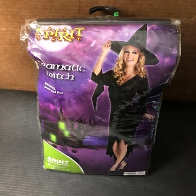ESPÍRITU HALLOWEEN, VESTIDO BRUJA DRAMÁTICO CON SOMBRERO TALLA GRANDE, 12-14, ENVÍO GRATUITO Foto 1 de 4