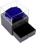Ewige Echte Rose Geschenkbox Mit Kette Konservierte Rose 925 Sterling Silber Son