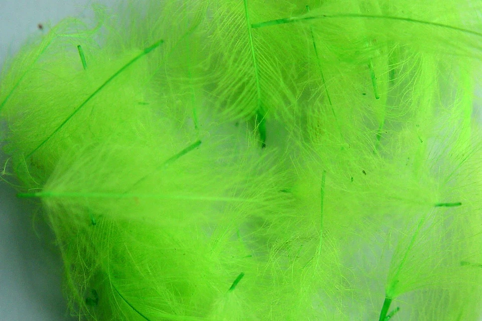 1g Plumes de Cul de Canard (CDC) Fluo Vert / Green montage mouche peche truite - Photo 1/1