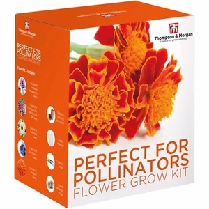 T&M Bee Friendly Flower Garden Seed Growing Kits 5 Pollinator Varieties to Grow - Picture 1 of 6