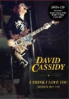 CASSIDY,DAVID - I THINK I LOVE YOU: GREATEST HITS LIVE (2 DVD) (CD)