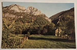 Seneca Rocks Monongahela National Forest West Virginia Vtg Unused Postcard XL2 - Picture 1 of 2