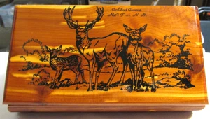 Collectable Cedar Box Carlsbad Caverns Nat'l Park New Mexico - Picture 1 of 5