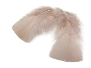 1 Pack - Nude Turkey T-Base Plumage Feathers 0.50 Oz. Fly Tying Suncatcher Craft - Picture 1 of 5