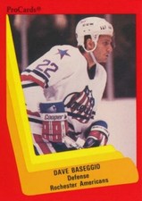 1990-91 ProCards AHL/IHL #270 DAVE BASEGGIO - Rochester Americans