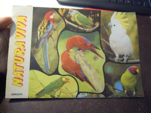 ALBUM DI FIGURINE " NATURA VIVA " OMAGGIO - EDIBOY EDIZIONI MILANO  - LB-47 - Foto 1 di 7