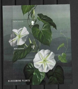 Montserrat SC # 1326 Blossoming Plants - Moon Vine - . MNH - Picture 1 of 1