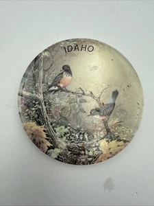 Sangray Keramik Magnet Idaho State Vögel Kühlschrankmagnet - Bild 1 von 3