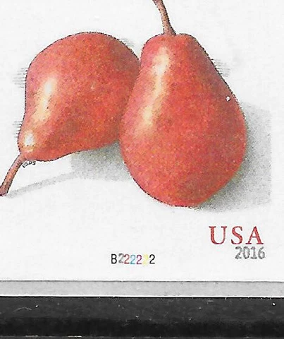 NEW PLATE NUMBER!!--PNC 5 Scott #5039, 10c Pears, Plate #B222222, F-VF MNH Cover
