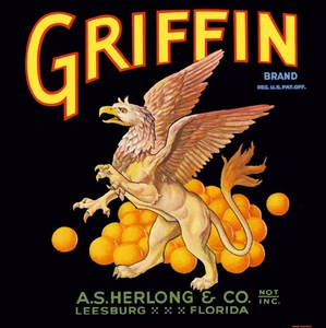 f10 Leesburg Florida Griffin Brand Orange Citrus Fruit Crate Label Fridge Magnet - Picture 1 of 1