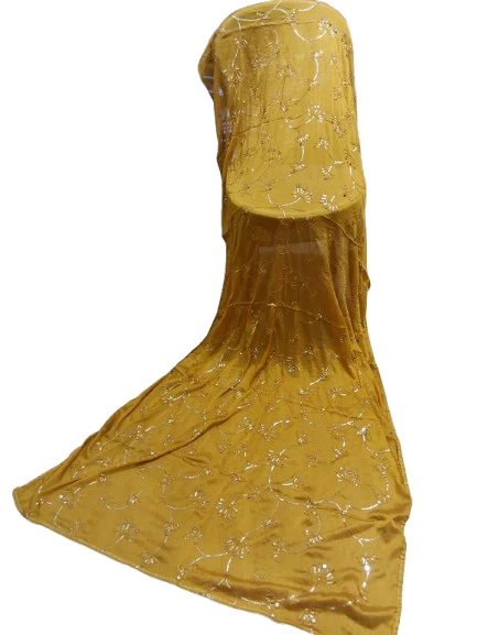 Sequence Work and Mirror Dupatta — 第 1/1 张图片