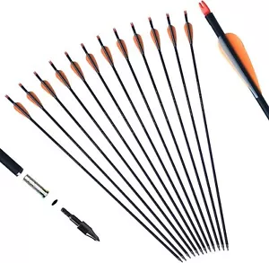 12Pc 6-8mm Shaft Diameter Fiberglass Arrow 30inch Spine 500 Compound Recurve Bow - Picture 1 of 13