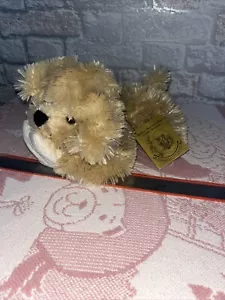 Vintage The English Teddy Bear Company Plüschhund mit Etikett Barbara Bukowski 11 Zoll - Bild 1 von 9