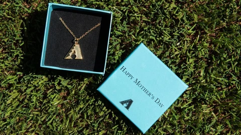 Arizona Diamondbacks 2019 Mothers Day Charm Neckalce 4-12-2019 Dbacks Cover