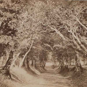 Arundel Castle Park Großbritannien Historische Ansicht Fotografie Abzug um 1860 - Picture 1 of 4