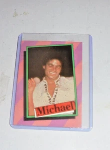 Vintage Michael Jackson Concert Ticket Guitar Pick Card ABC Billy Love I'll Song - Picture 1 of 5