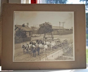 Anfang 1900 Original Foto 12 Pferde Gespann Erntewagen Ritzville Washington - Bild 1 von 4