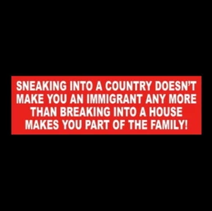 Funny ILLEGAL IMMIGRATION window decal BUMPER STICKER Pro Donald Trump MAGA 2020 - Picture 1 of 1