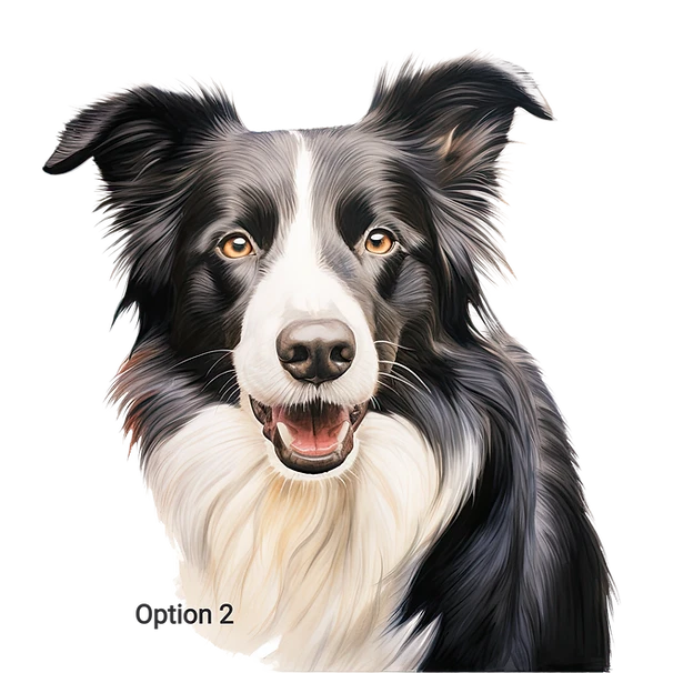 Camisetas Border Collie calidad raza perro absorbente/camiseta raza perro Foto 1 de 1